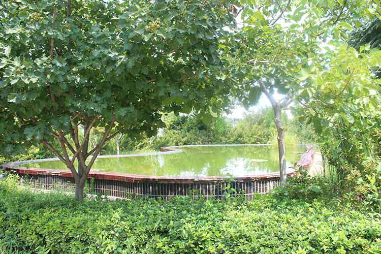 金年会官网-金年会(中国)一站式服务官网机械厂区环境优美